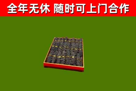 青山回收海参